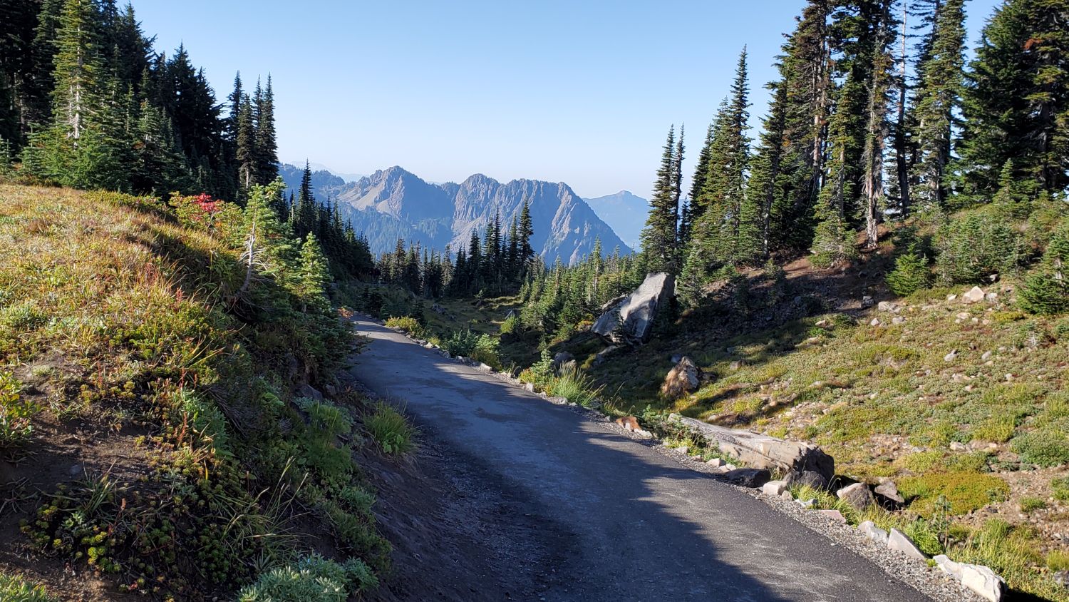 Mount Rainier NP 